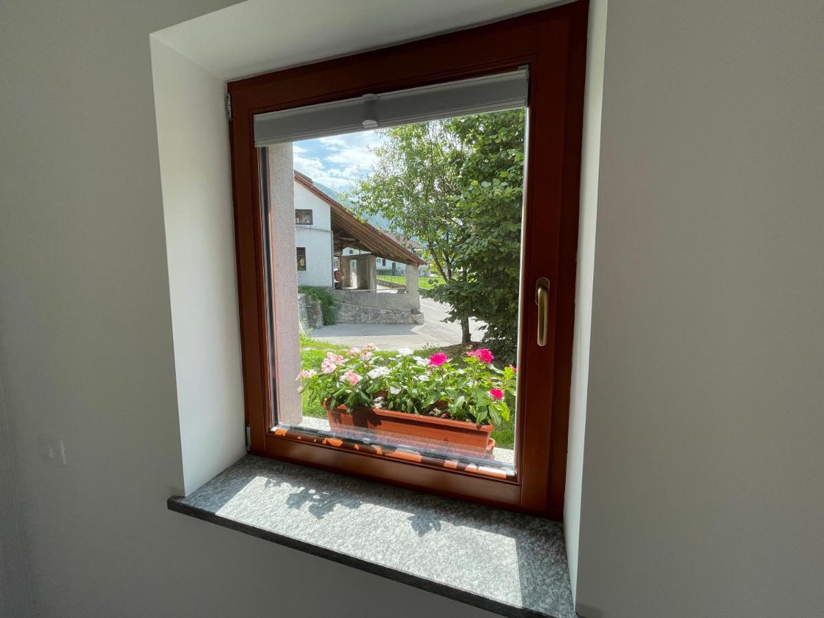 Apartma 7 - In The Heart Of Soca Valley Tolmin Luaran gambar